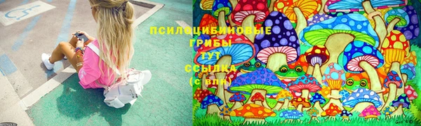 ГАЛЛЮЦИНОГЕННЫЕ ГРИБЫ Алексин