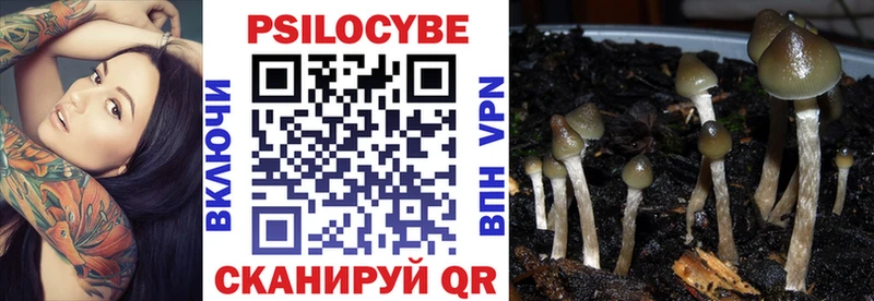 Галлюциногенные грибы прущие грибы  Тюмень 