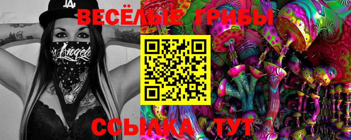 Тюмень  Псилоцибиновые грибы Psilocybine cubensis  Вход с VPN 