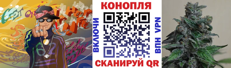 Каннабис семена  где найти   Тюмень 
